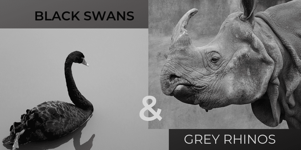 Black Swan and Grey Rhinos