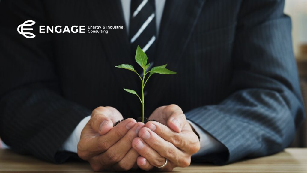 Person in a suit holding a sapling representing suitability practices in business.