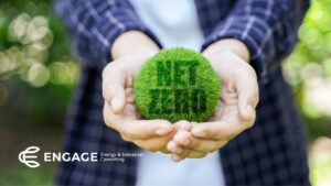 Person holding a green ball of moss with the words "Net Zero" on it.